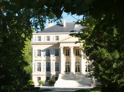 Château Margaux - vin smédoc