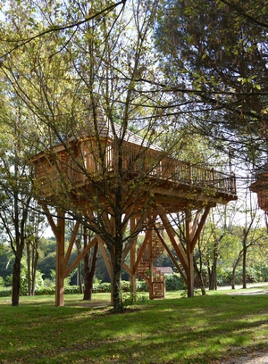 Des châteaux dans les arbres