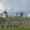 Balade Montagne St-Emilion
