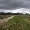 Balade Montagne St-Emilion