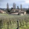 Balade Montagne St-Emilion
