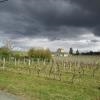Balade Montagne St-Emilion