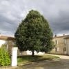 Balade Montagne St-Emilion