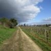 Balade Montagne St-Emilion