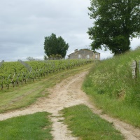 19-Le chemin au point n° 6