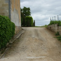 22-Traversée de la D669 pour rejoindre les vignes donnant sur la Dordogne