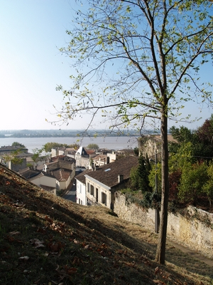 descente vers le port depuis la maison des vins