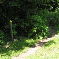 Le petit chemin sur votre gauche