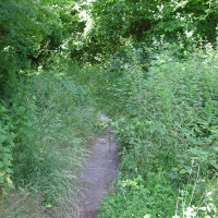 Attention suivant les saisons plus ou moins d'herbes et de boue !