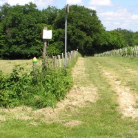 tournez à gauche entre prés et vignes