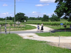 Point 2 balade carignan