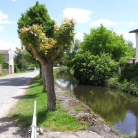 suivre la rivière