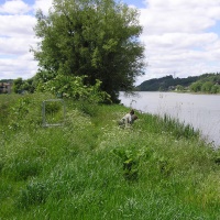Le chemin est perdu dans les herbes : pas de chance !