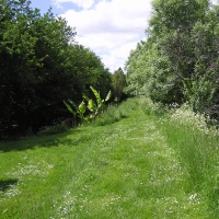Le chemin sur la berge de la Garonne