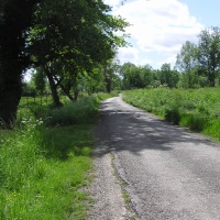 On rejoint la petite route en direction d' Ayguemortes