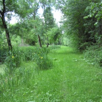 c'est par là, le long du petit canal