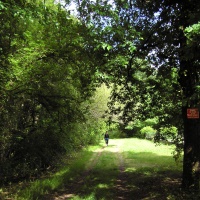 fin du chemin