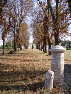 Sur la route de la Solitude