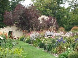 Un joli jardin devant le fameux chais de Mouton Rothshild