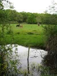 Les paysages médocains en balade
