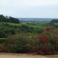 11-Vue sur Verdelais depuis Pampelune
