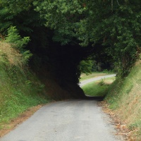 19-Descente ombragée