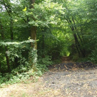 22-Point 18 - Le haut du chemin