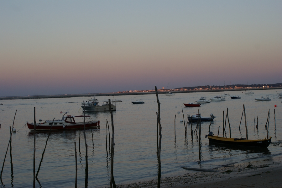 Bassin d'Arcachon - les pinasses