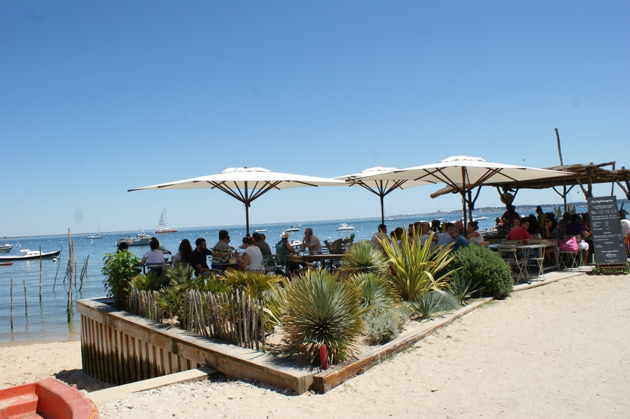 Dégustation d'huitres - Bassin d'Arcachon
