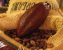 Cacao