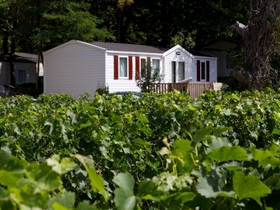 Camping **** Le Pressoir à Petit Palais et Cornemps en Gironde