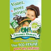 O Légumes Oubliés