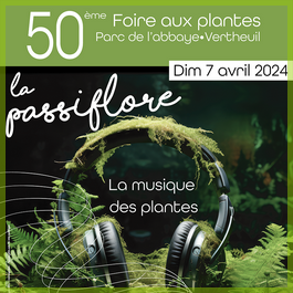 foire-aux-plantes-la-passiflore-vertheuil 2024