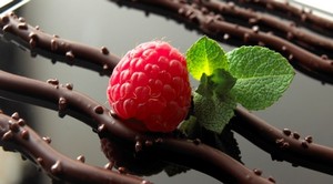 gastronomie gironde sarments du médoc