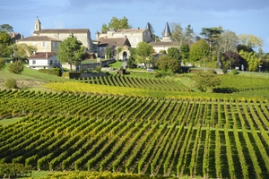 Vignoble de Saint Emilion