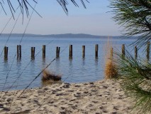 Plage d'Hourtin