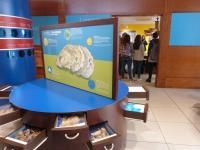 Patrimoine - musées écomusées à Gujan-Mestras