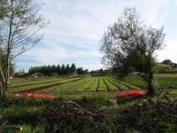 Patrimoine - parcs et jardins à Blanquefort