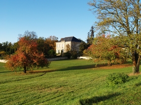 palmer 