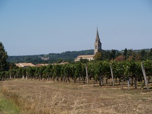 ABZAC : église vue du vignoble d'Abzac