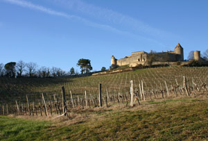ARBIS : Château de Benauge