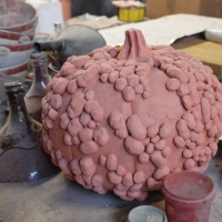Cucurbitacée