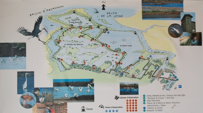 plan parc ornithologique du Teich