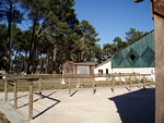 centre équestre de Pessac Romainville