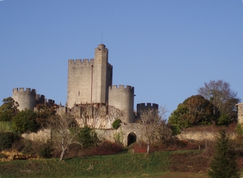 Le château de roquetaillade