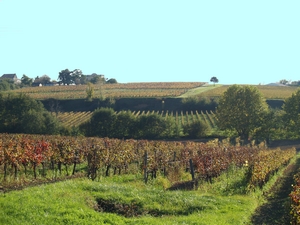 Les vignobles de Haute Gironde