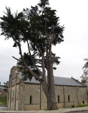 Abbaye Notre-Dame de la Fin des Terres, Soulac