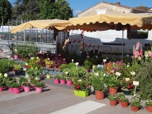 La fête de la Saint Fort en mai