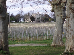 balades st Emilion