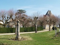 Vieux Château Certan - Pomerol